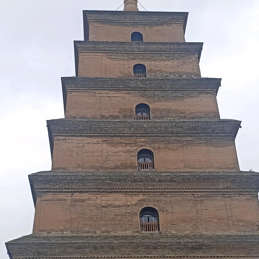 金圣