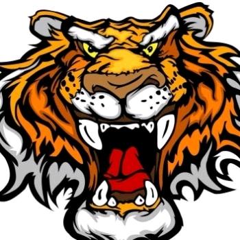 风光不与四时同