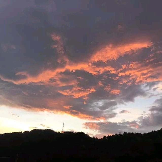 红太狼