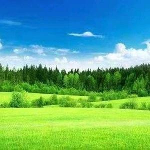 清风皓月