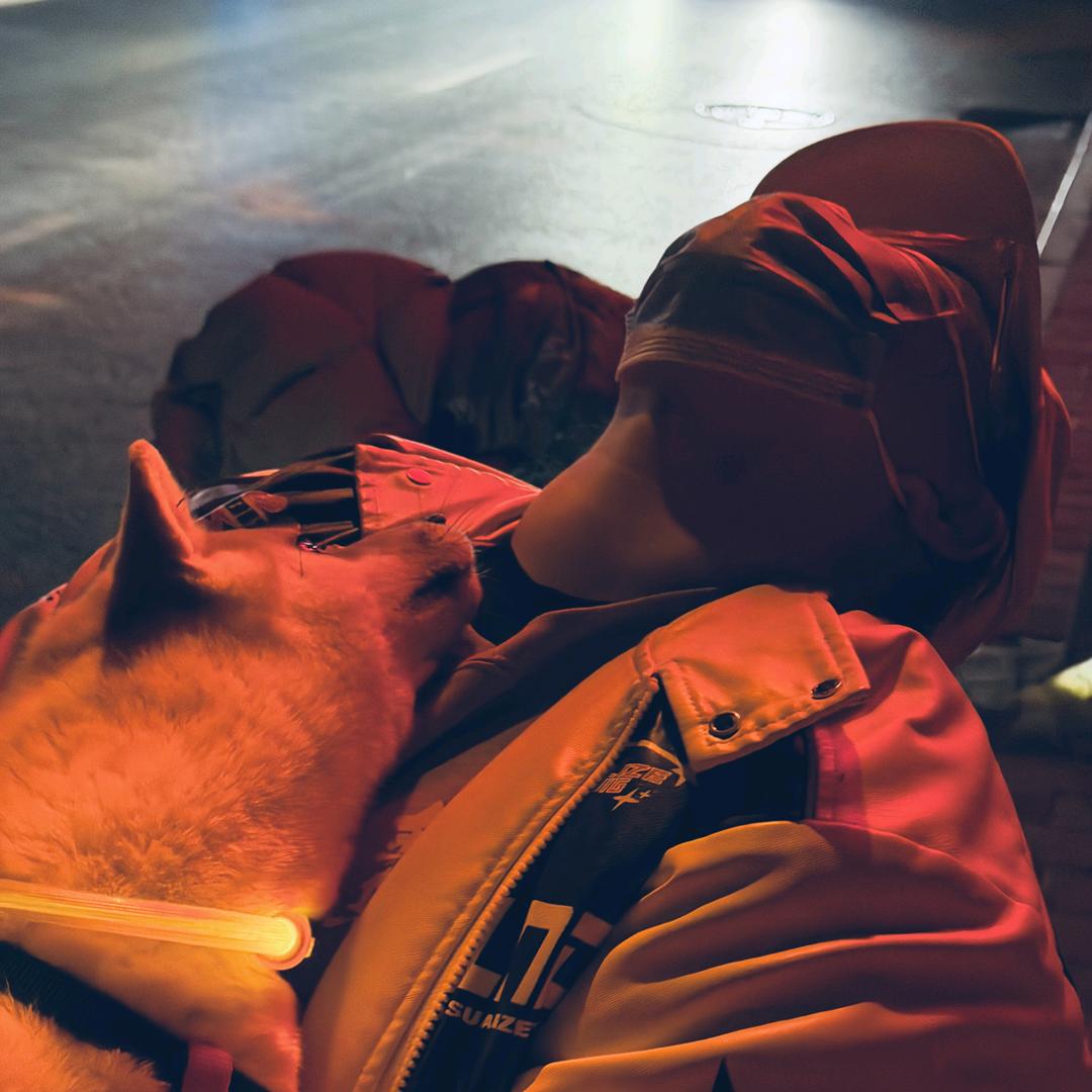 看到我请叫我去画画