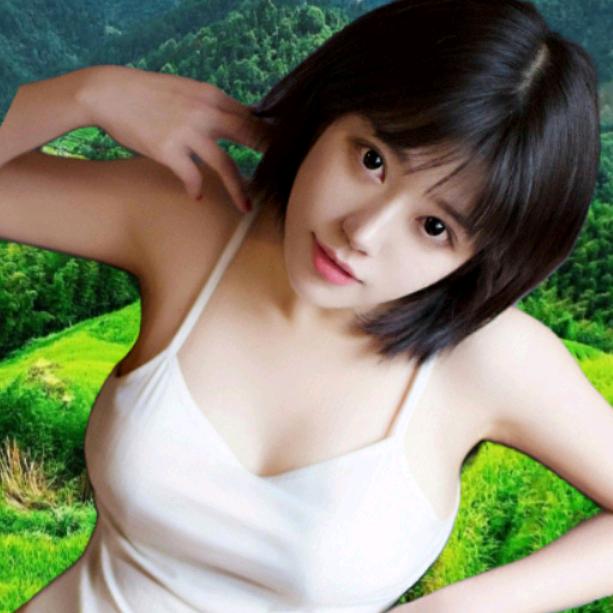 画梅
