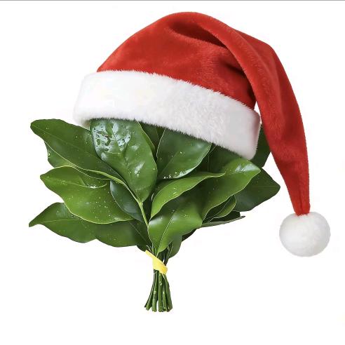 美菱智能茶吧机官方直播间