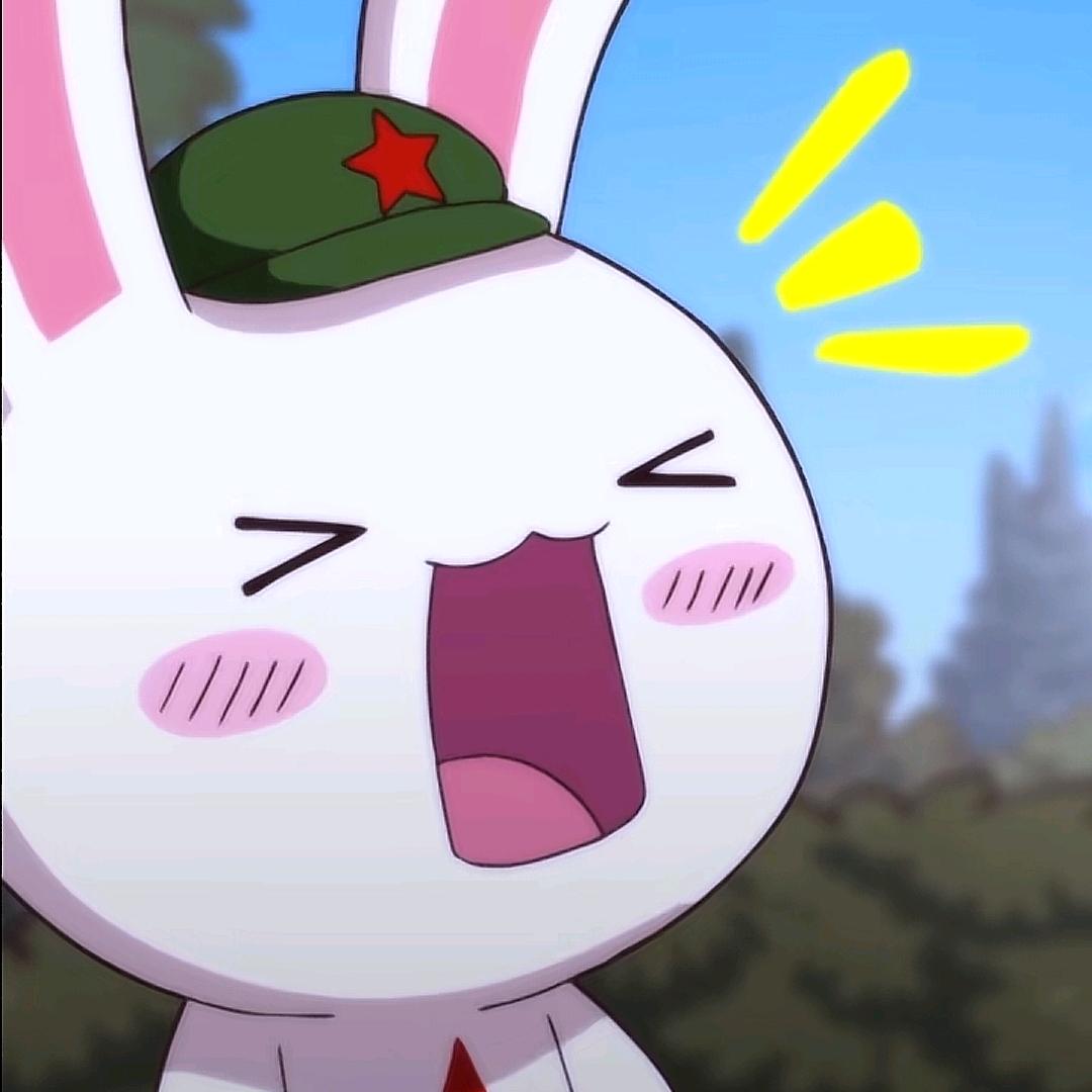 壮壮