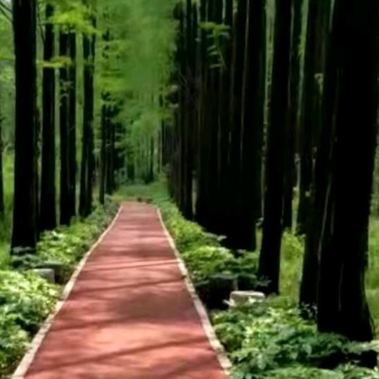 罗山挖机出租