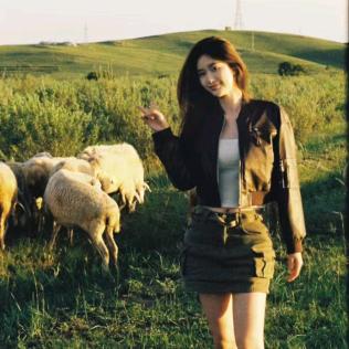 用户16389273929393