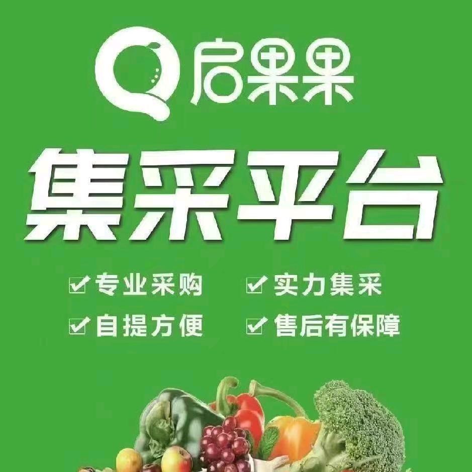 启果果渠道招商部