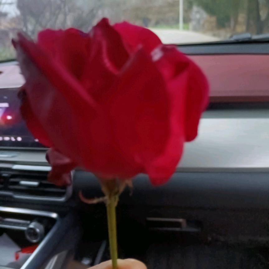 曲终人散终是遗憾