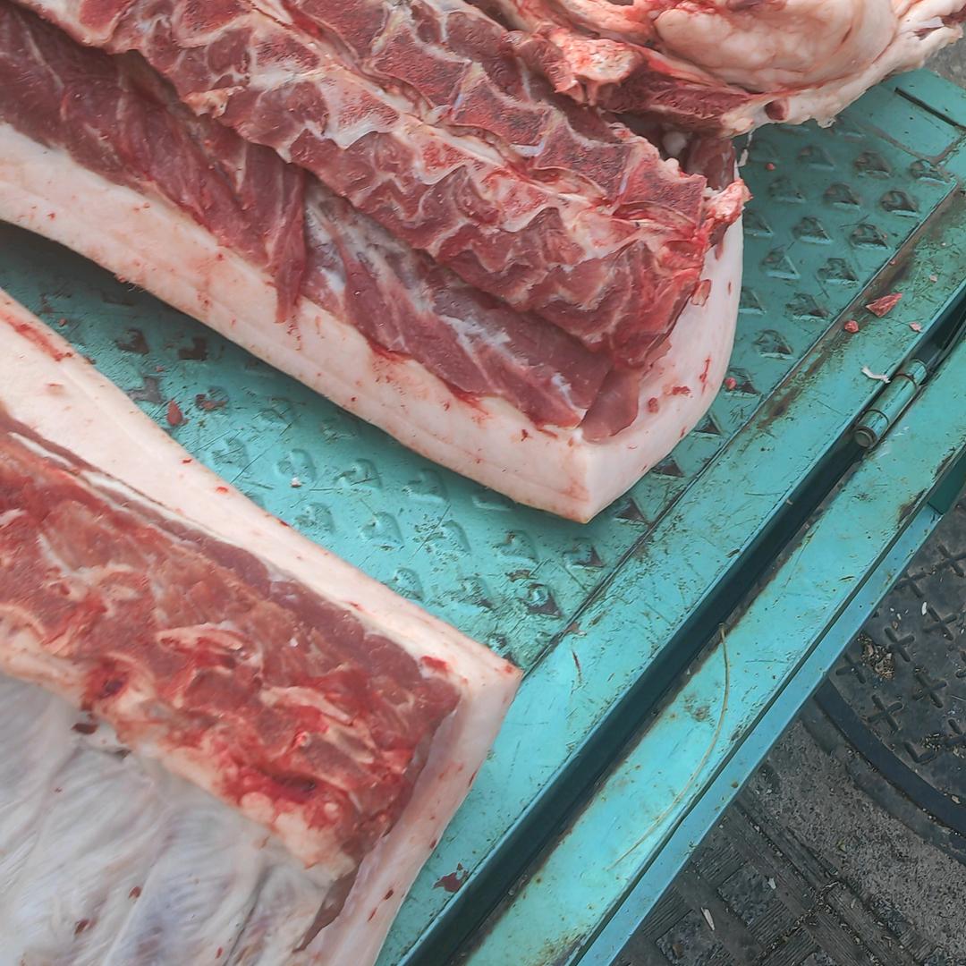 笨猪肉批发发