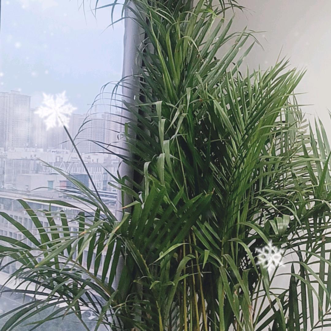 正鸿商业管理