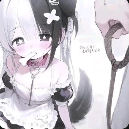 ₍˄·͈༝·͈˄⁺104ɞ