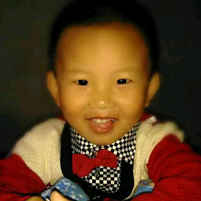 壮壮
