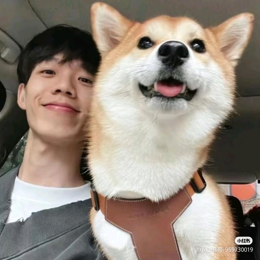 苏与