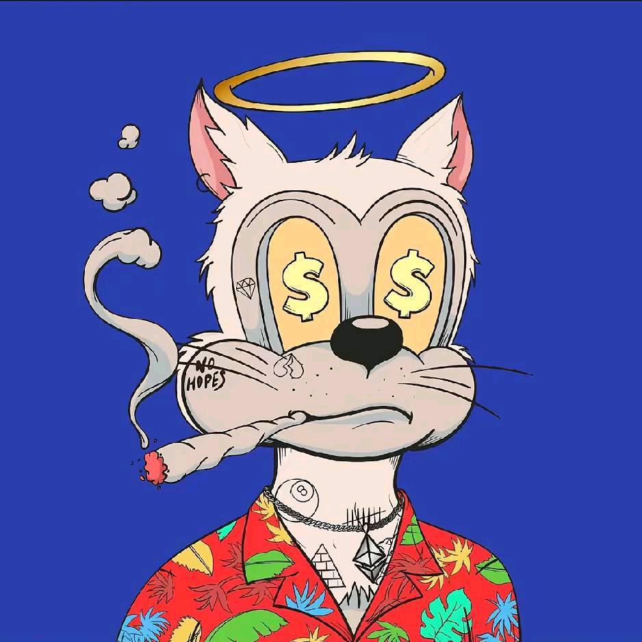 爱拍摄的～小曲📷