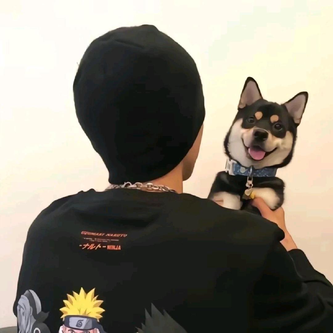 往事随风