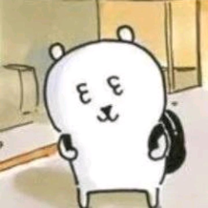 想养小猫咪
