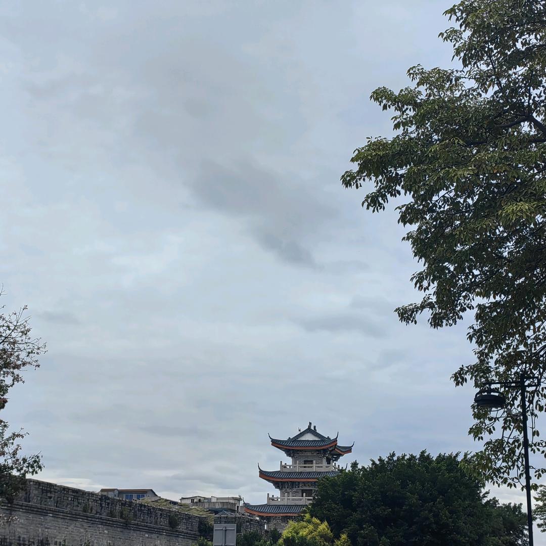 🌈小壳子🐷🐭🌈