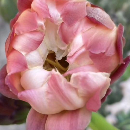 大哥哥，小弟弟💏