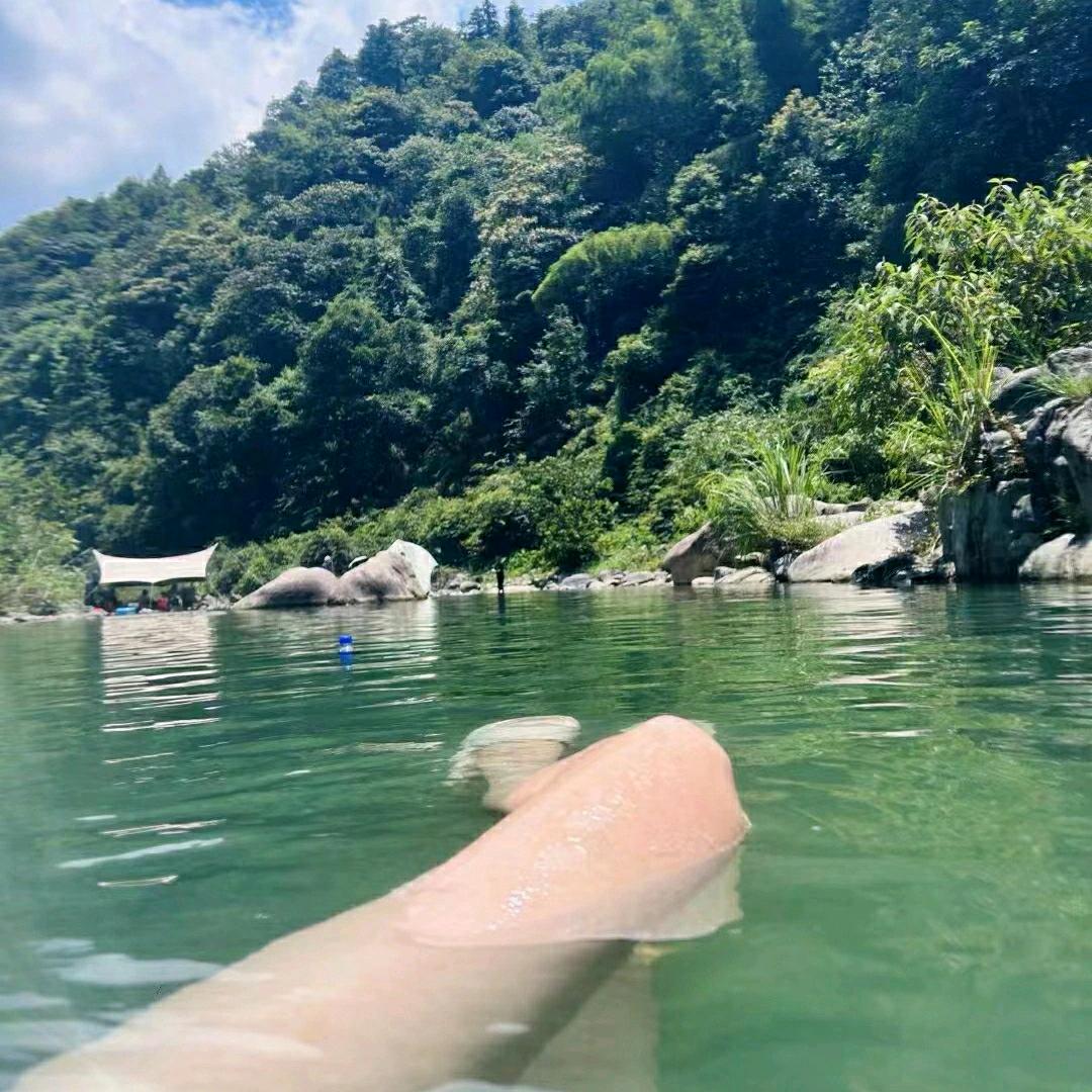 涩雅