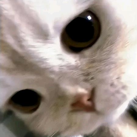 熙熙嘻嘻