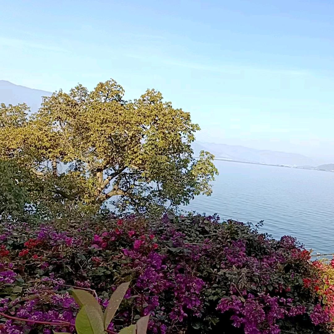 漂流的风