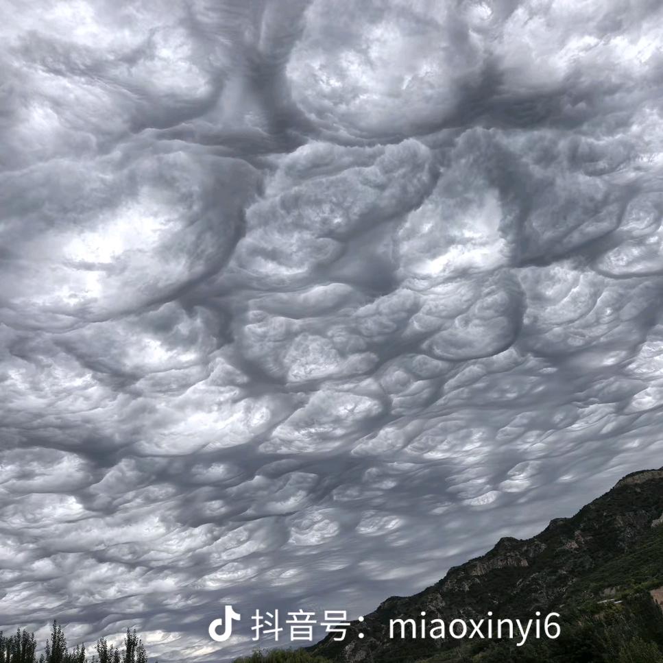 王东波