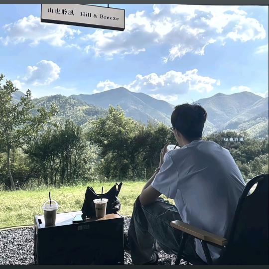 一颗李子