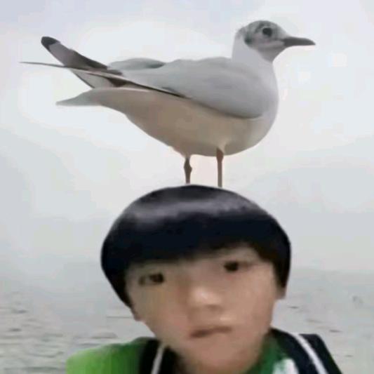 请你吃颗糖吧