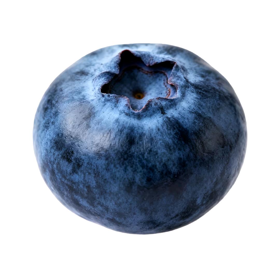 屑_