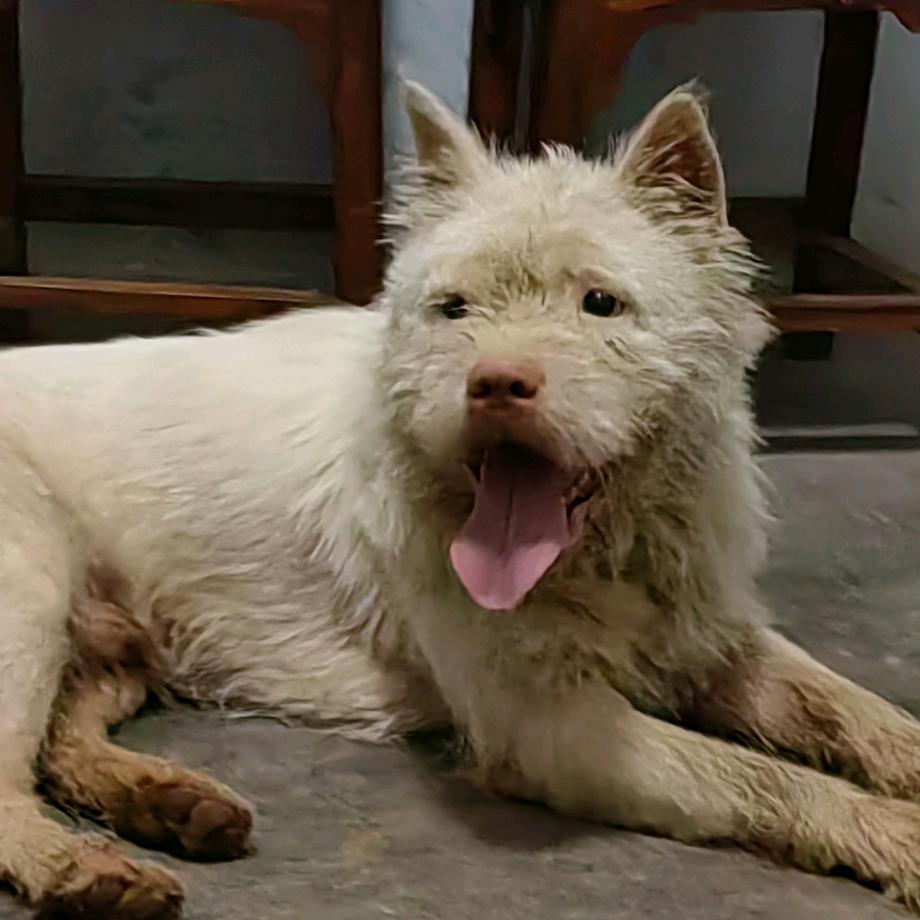 温水...煮青蛙🐸