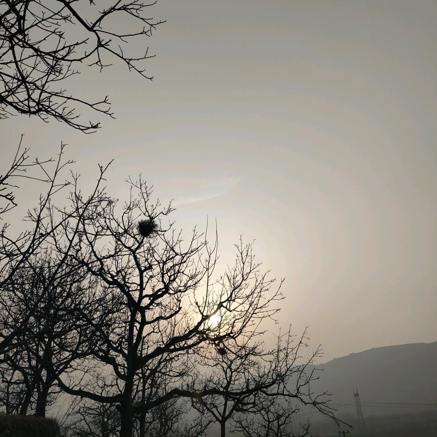 大唐大健家庭种植小课堂