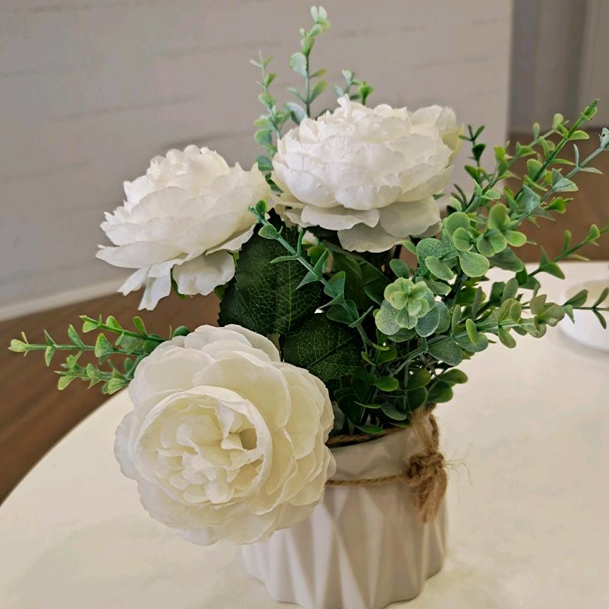 向阳花(你最棒)