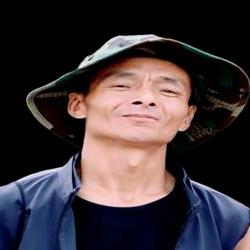 普洱咪哩村村长茶叶