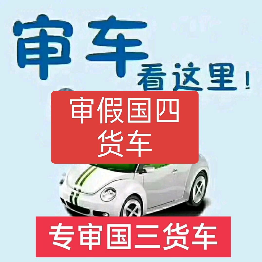 专业审假国四车