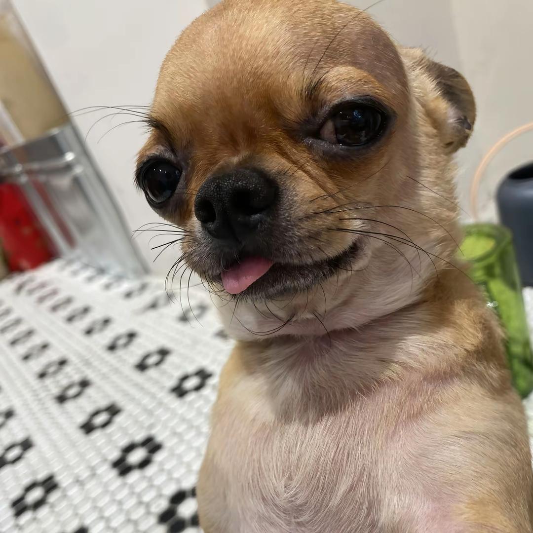 辰辰