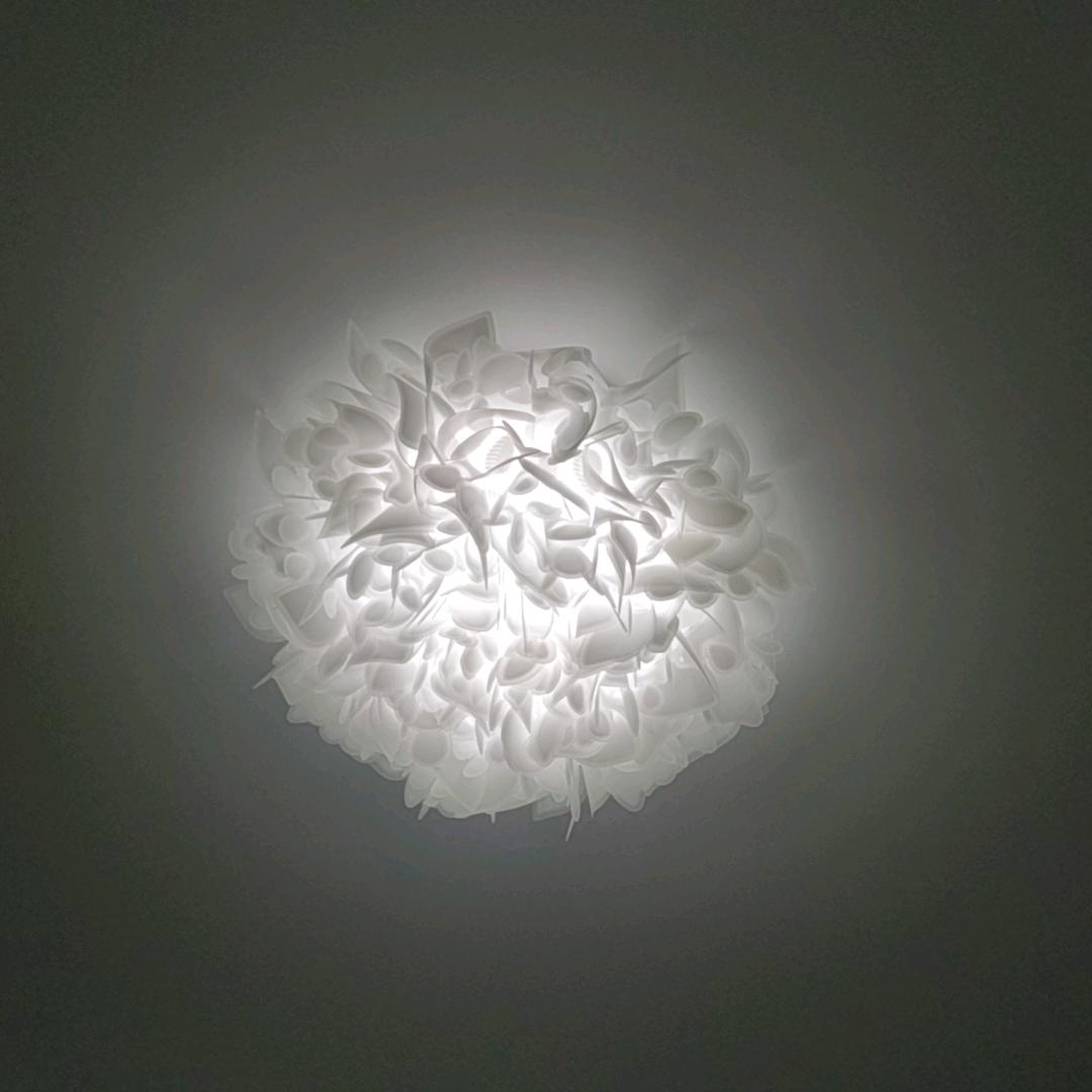 liu1220826