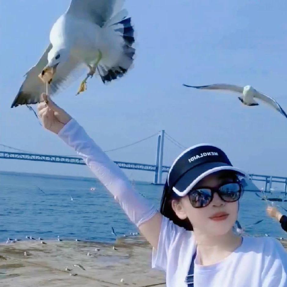 🕊꧔ꦿ᭄自动💞吸收好运꧔ꦿ᭄