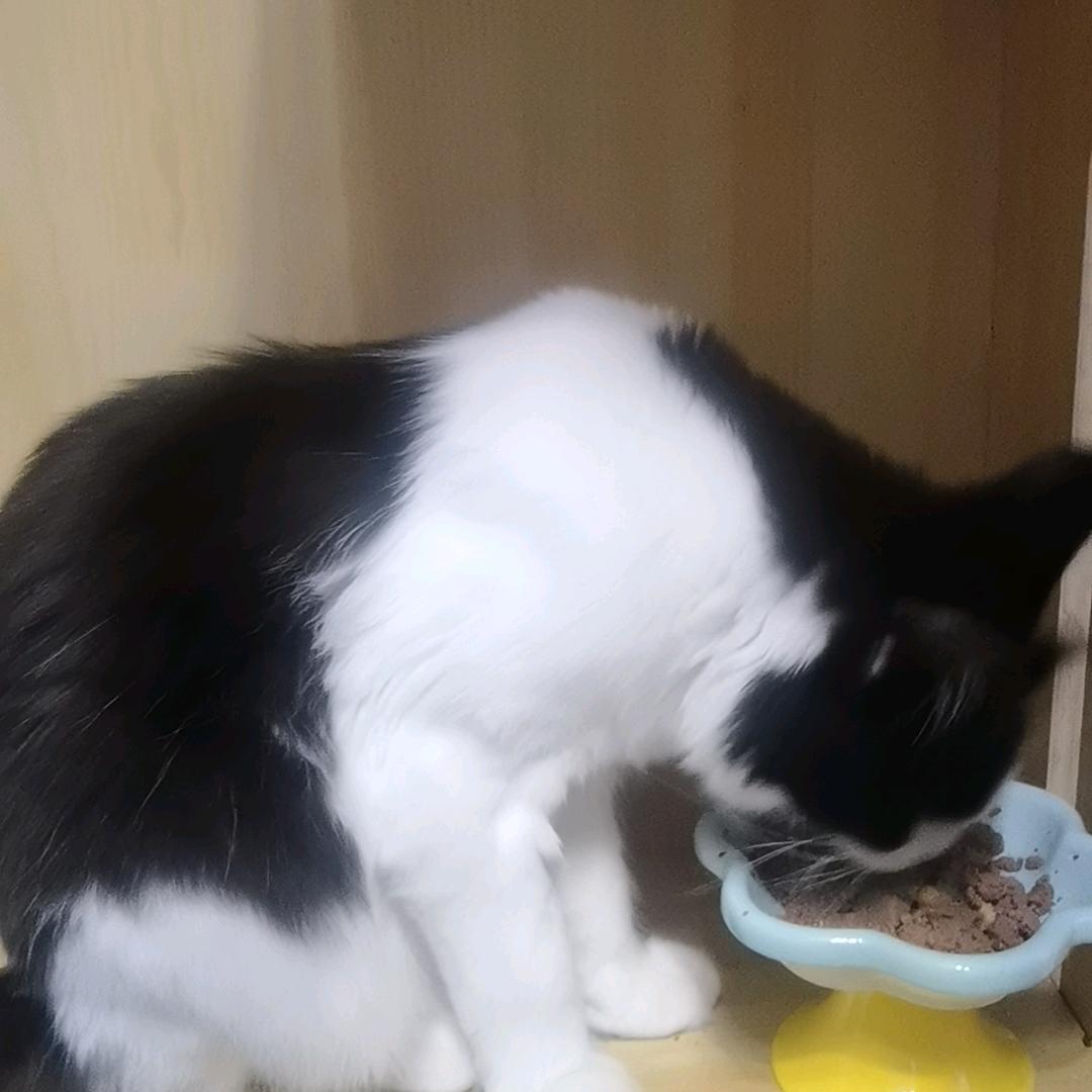 啦啦啦啦