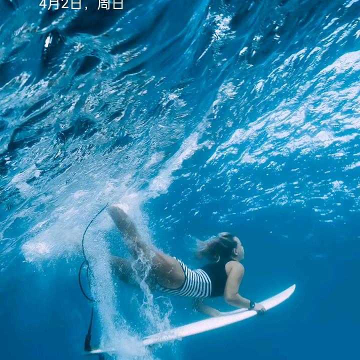 一朵鲜花
