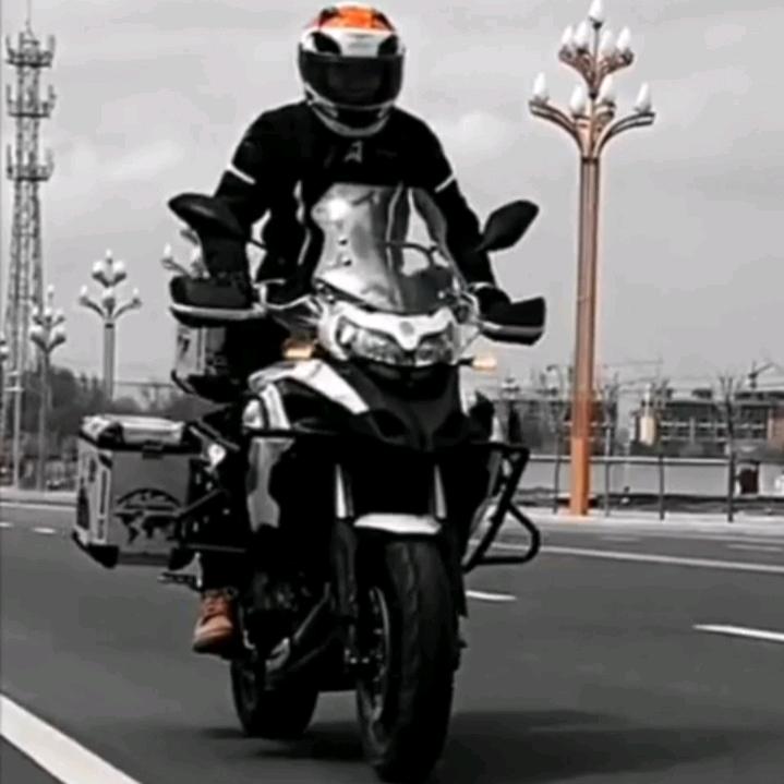 楊十叁