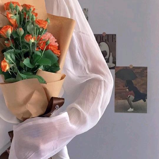 想你🕊
