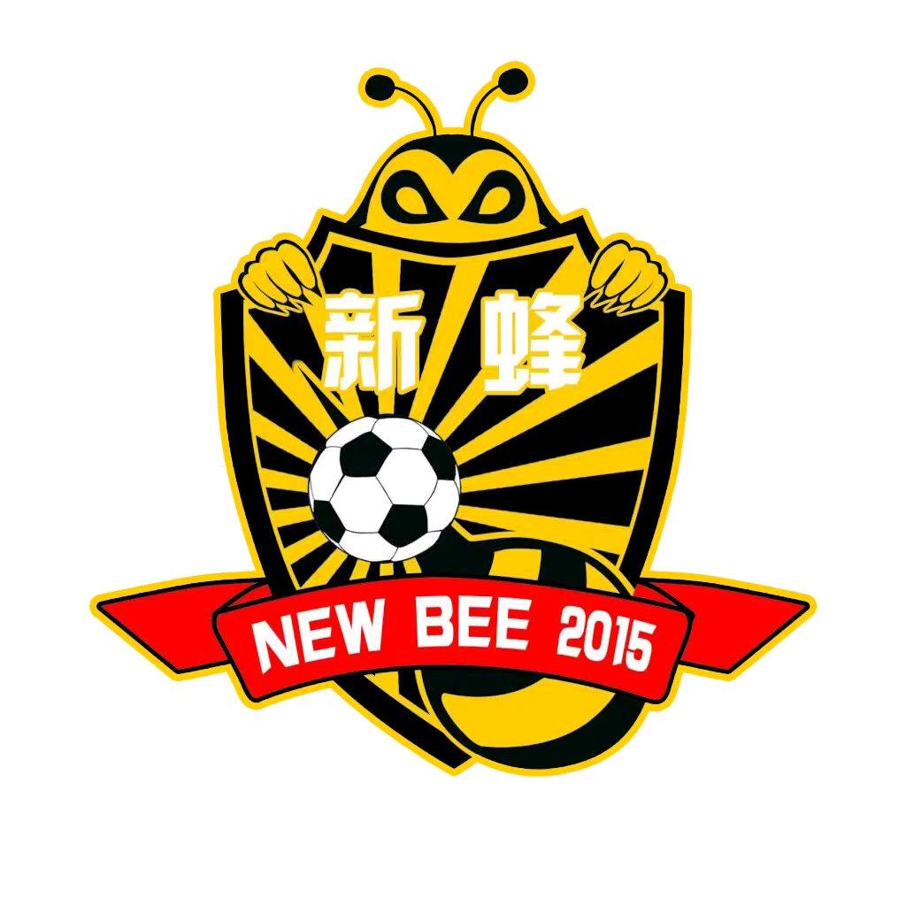 新蜂足球俱乐部