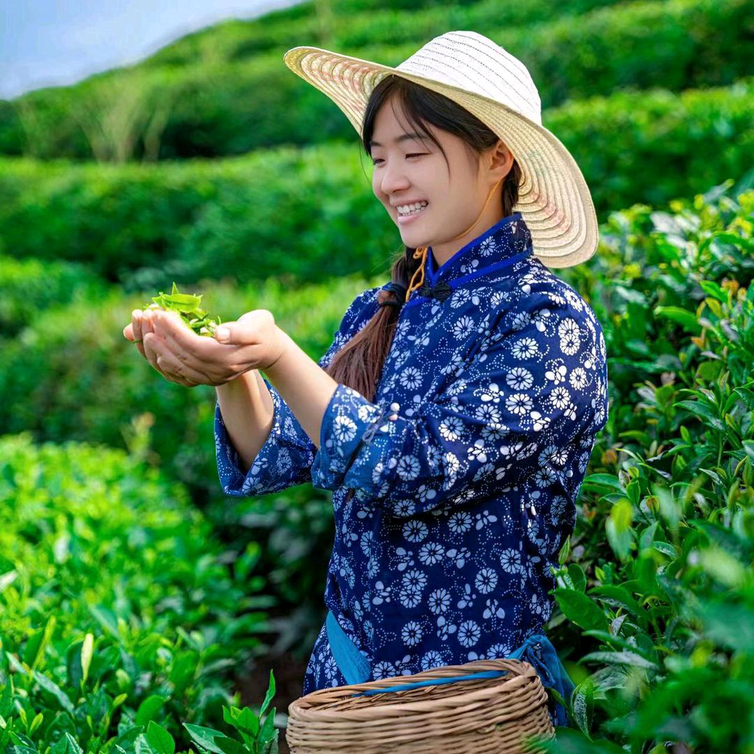 小杨妹（大号23号直播菜刀上新）