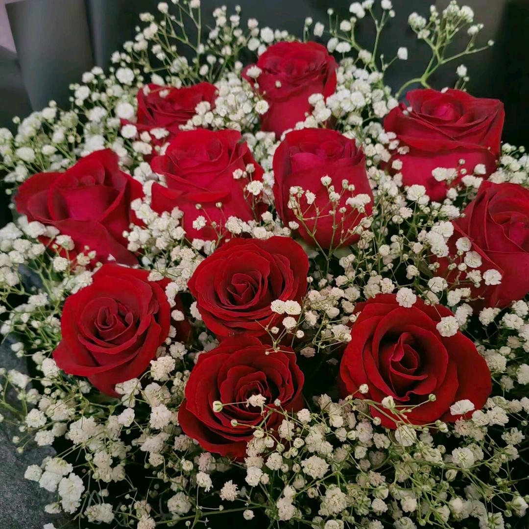 ꧁꫞꧔᭄ᩚ꯭余生不将就ꩵ 随心꧔ꦿ᭄?