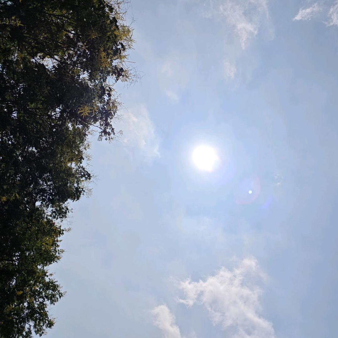 ٩(•̤̀ᵕ•̤́๑)ᵒᵏᵎᵎᵎᵎ