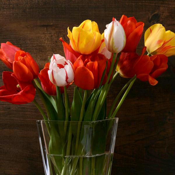 人的生活不易，牟二姐