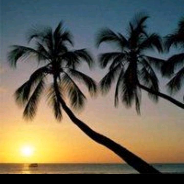 后山夜话🌴