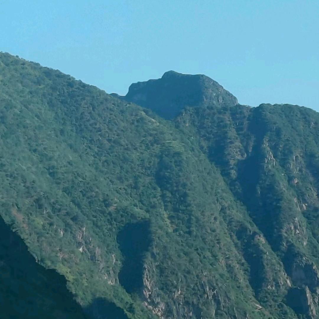 天涯