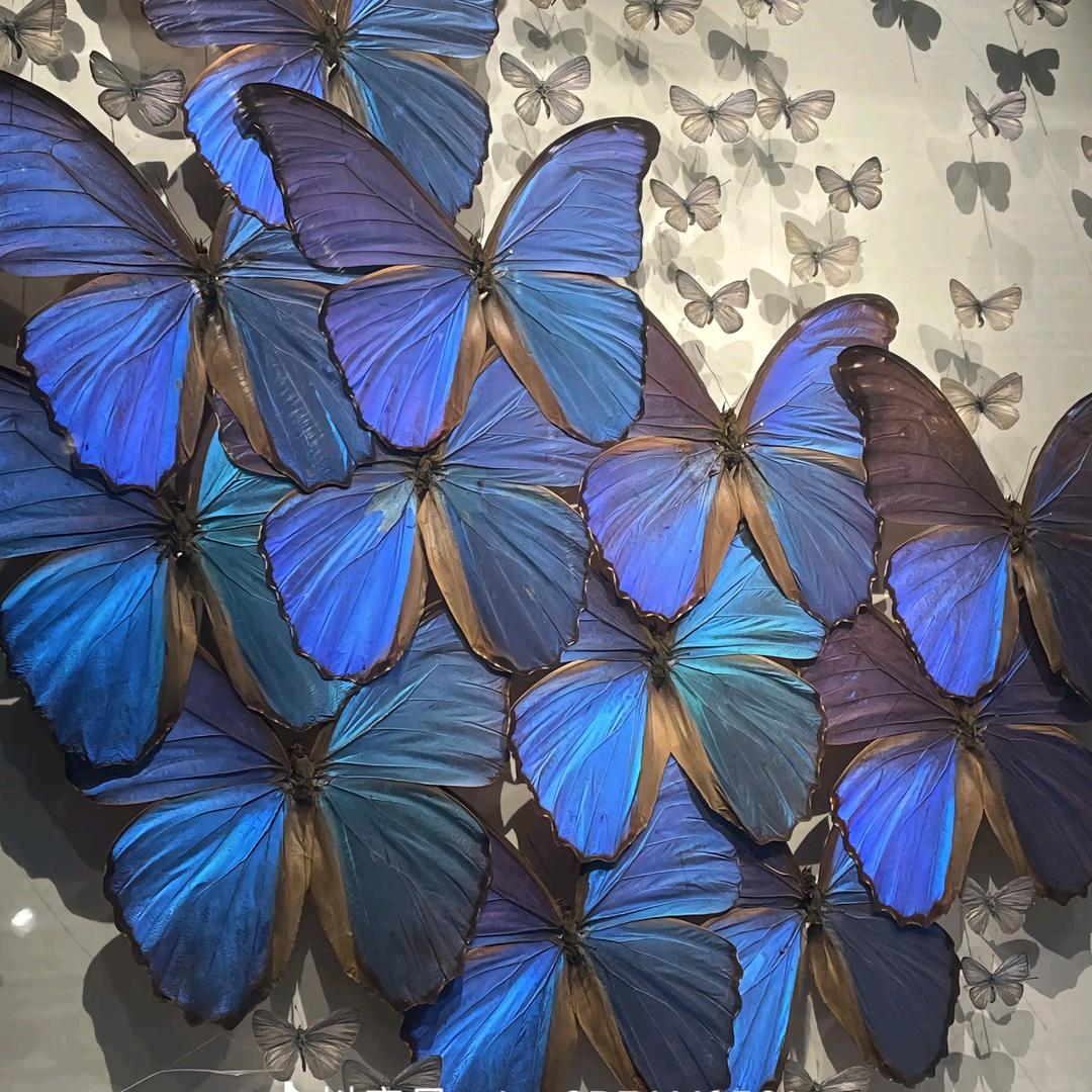 穿着比基尼的美男子