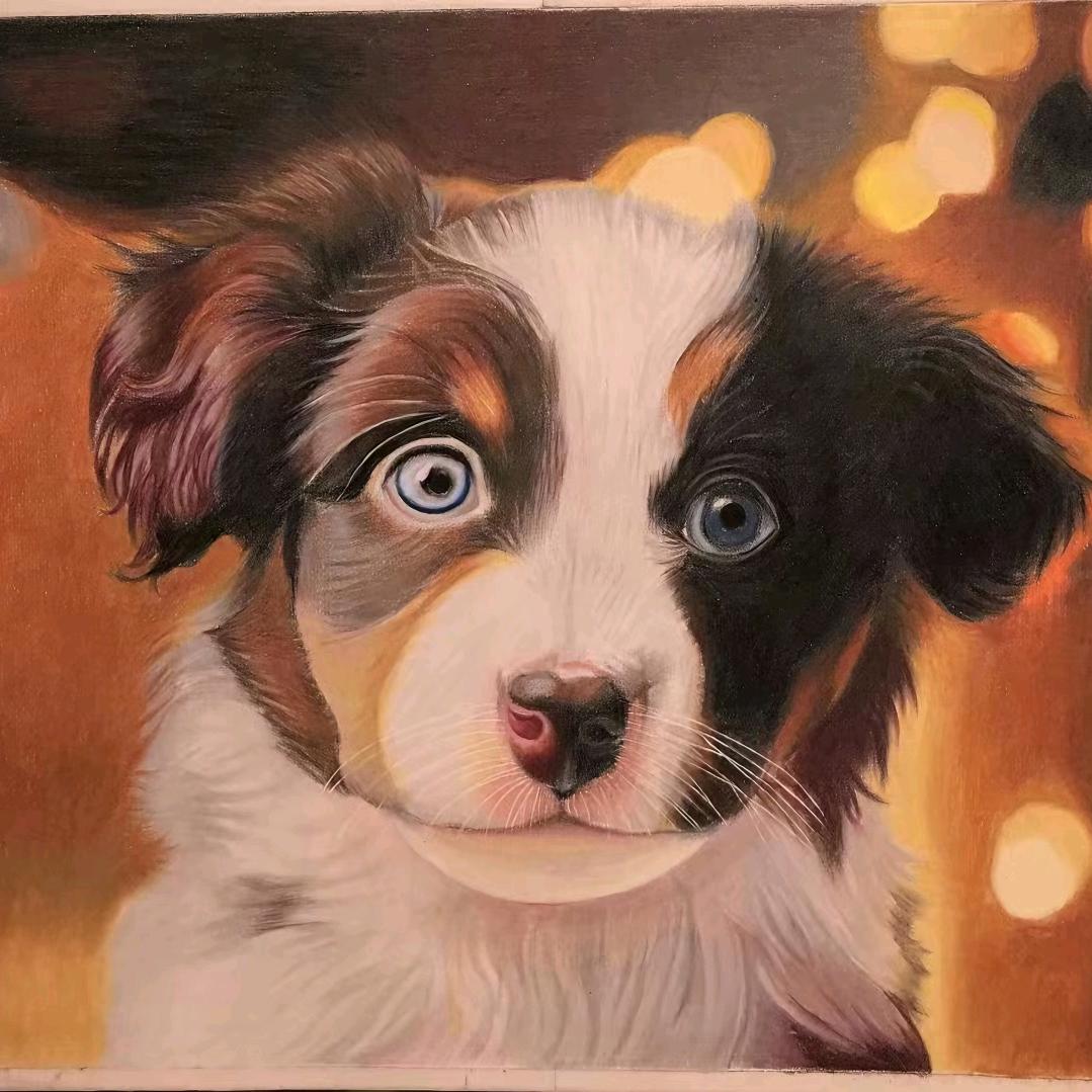 婷婷的美好生活